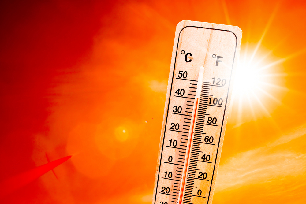 Wetterwahnsinn in Deutschland! Bis zu 20 Grad an Silvester? Meteorologen machen schockierende Wetterprognose