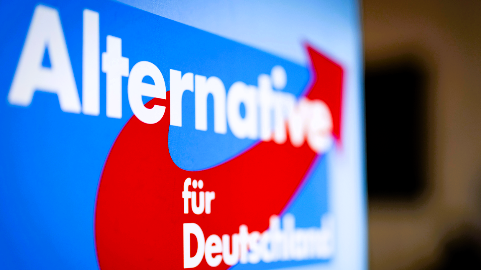 Chaos bei der AfD! Rechtspopulist Höcke macht Wahlkampf gegen die eigene Partei